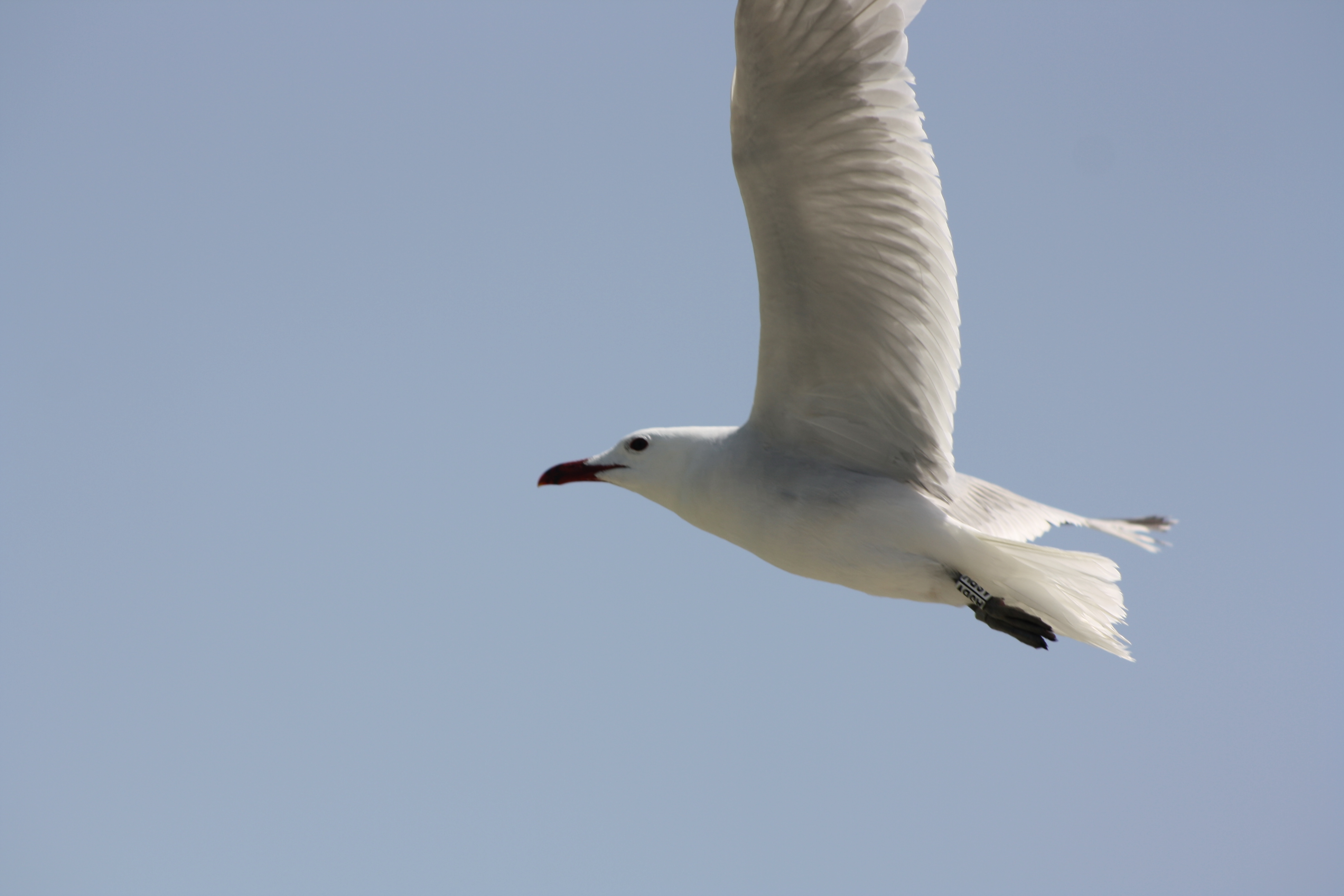 Mi-am primit viata cand am aflat cine sunt