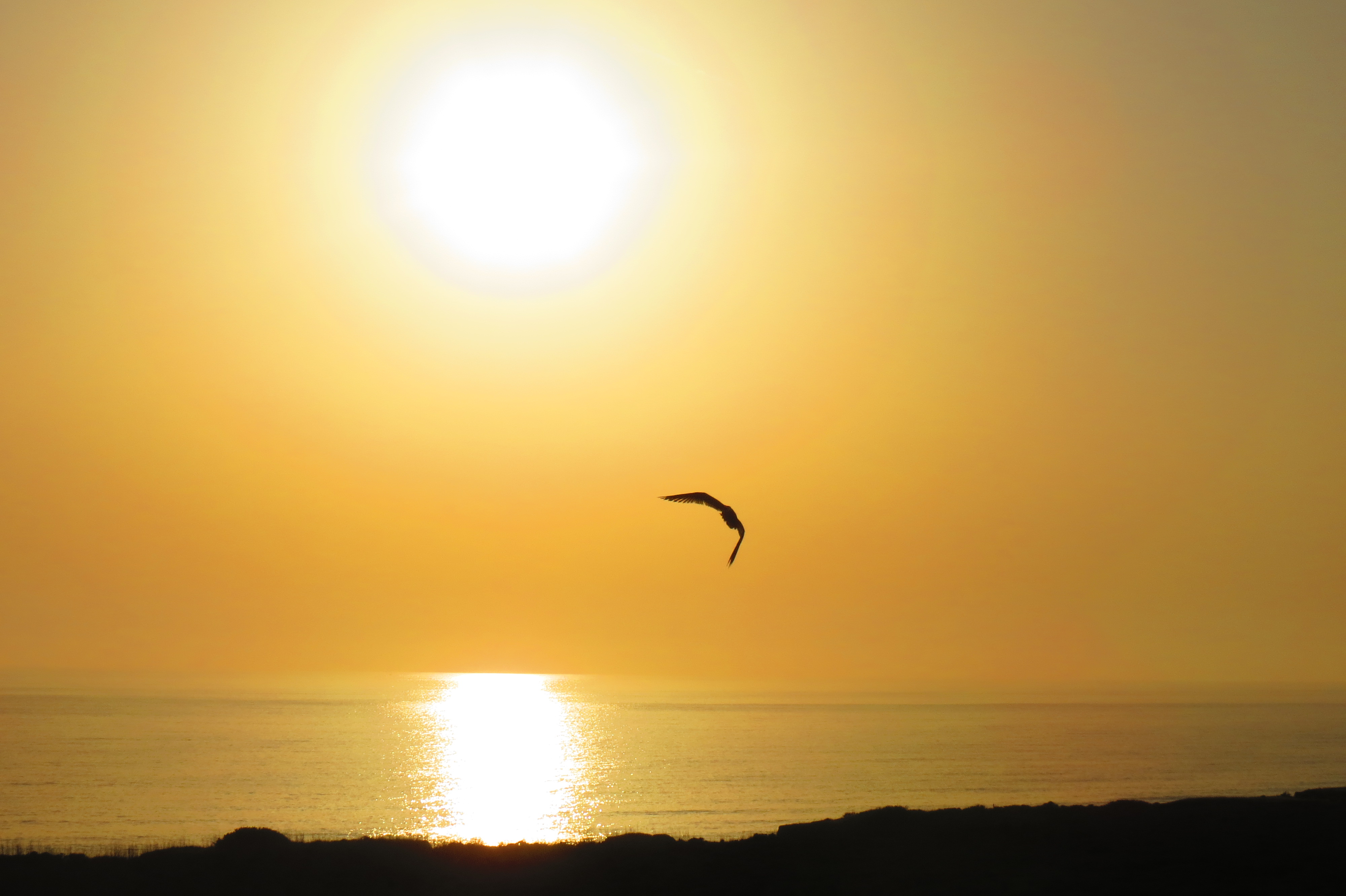 Liderii de azi - pentru salvarea civilizatiei