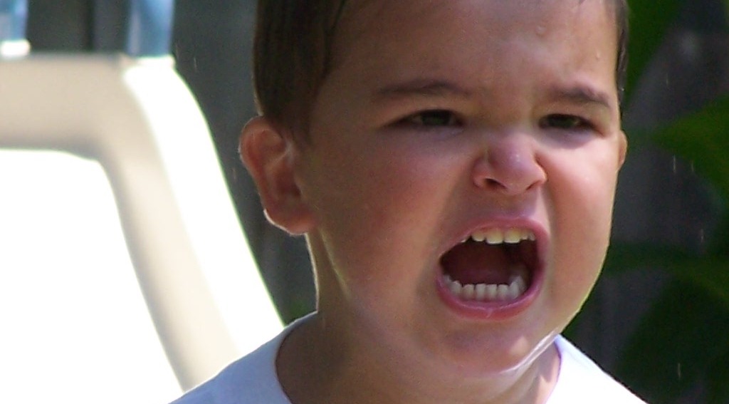 Inteligenta emotionala in organizatie si comportamentele noastre de toate zilele