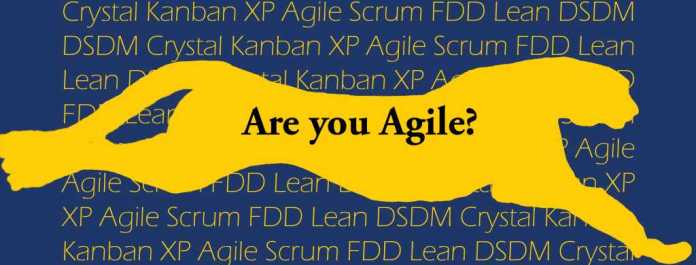 8 mituri despre metodologiile AGILE