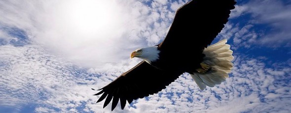 Atitudini pentru succes