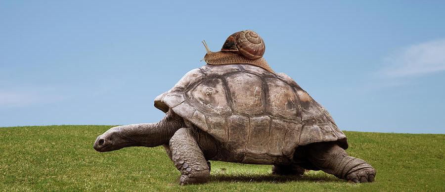 Ce faci cu performanta slaba a anagajatilor?