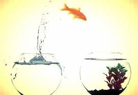 Coaching: rezultate durabile dintr-o singura sedinta