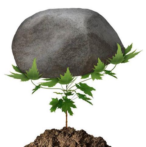 Exercitii simple de leadership cu efecte mari