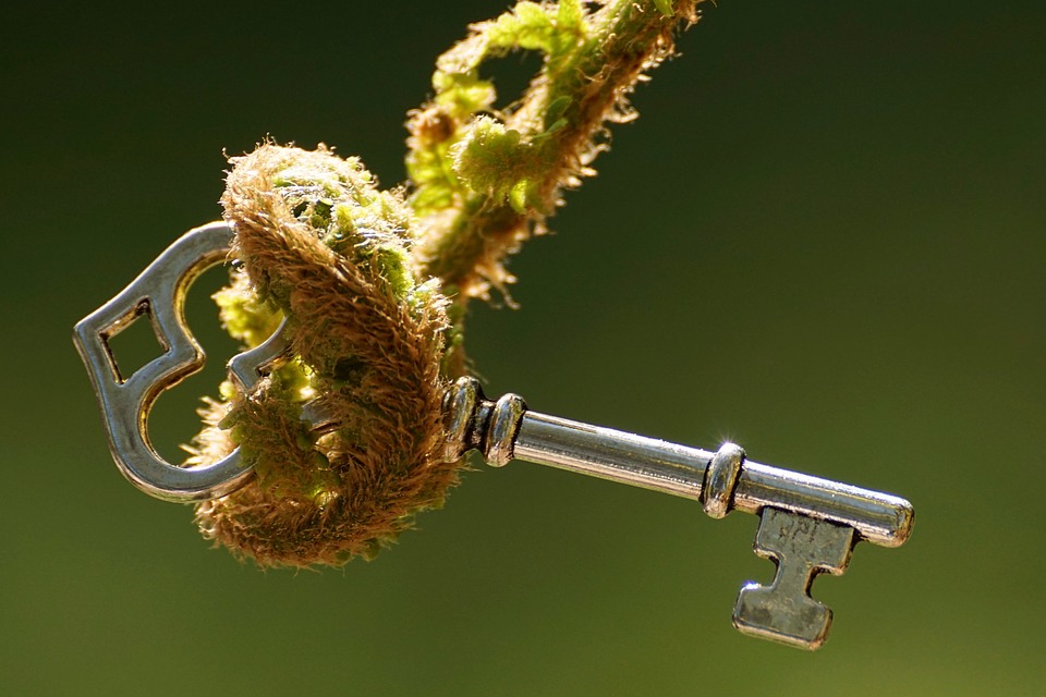 4 motive pentru care dezvoltarea ta personală e prioritară