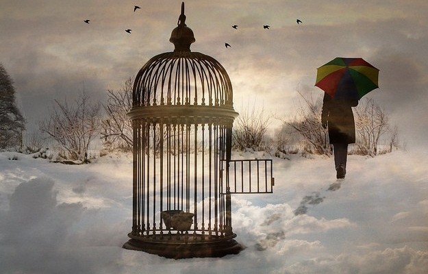 Care este universul în care aleg să trăiesc?