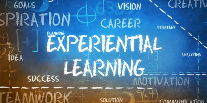 5 elemente esențiale ca să ai succes cu învățarea experiențială