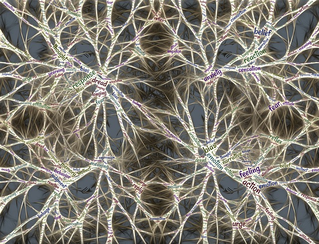 Brain fitness: învățarea prin joc