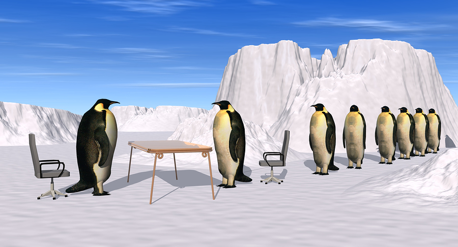 Intrebarea care “detecteaza” un lider