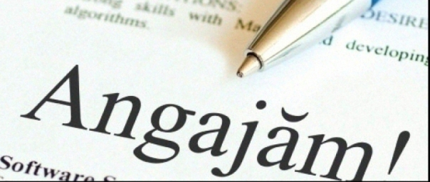 Schema de ajutor pentru angajatorii care creează minimum 20 de locuri de muncă, aprobată de Guvern