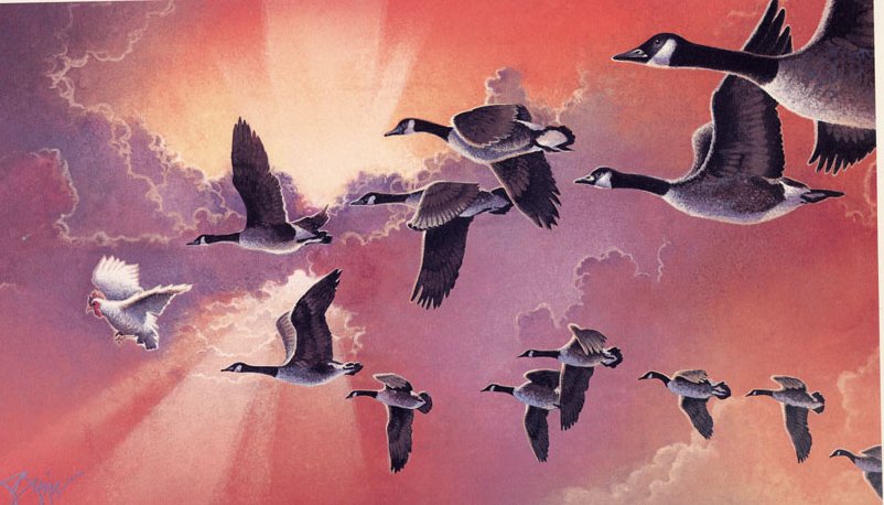 De ce programele de training in leadership nu aduc valoare?