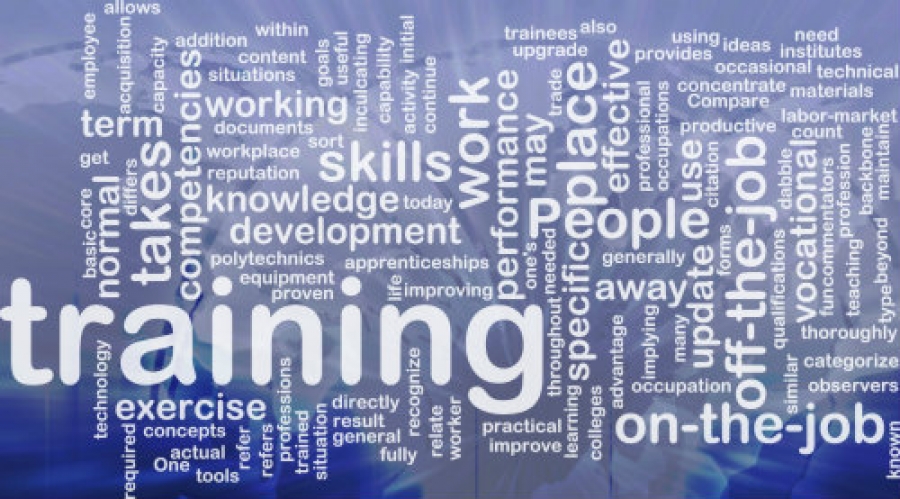 Training și dezvoltare în noul mileniu - perspective ale angajaților 