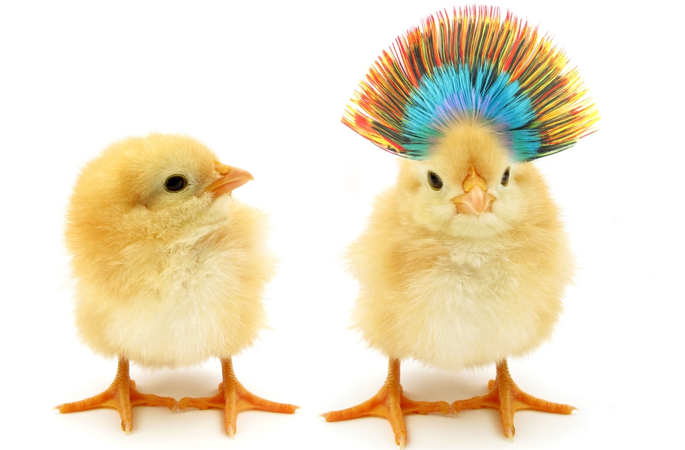 Treceti viata pe profit cu self-management coaching