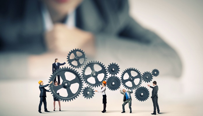 5 capabilitati pe care orice oganizație trebuie să le cultive