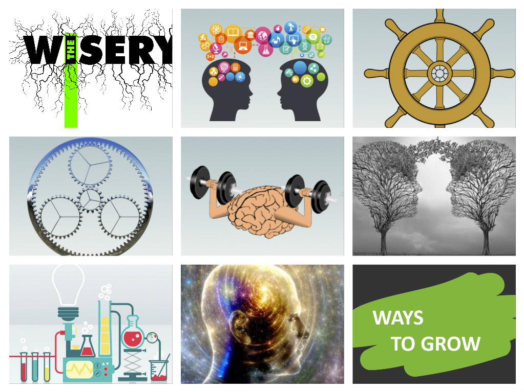 Un nou concept: The Wisery's Labs