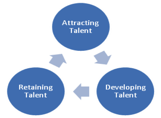 5 pasi pentru a rezolva deficienta de competente din organizatie