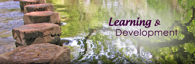 Invățare și dezvoltare în 2014 – parte integrantă din HR