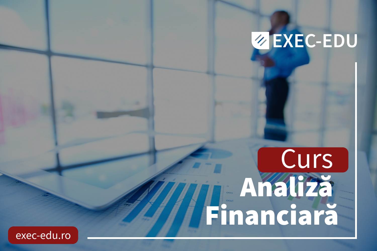 Analiza Financiară - EXEC-EDU